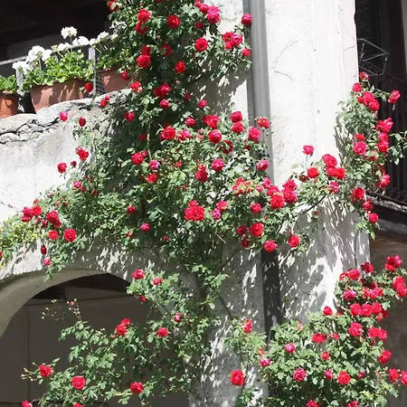 Πανσιόν Casa Archi